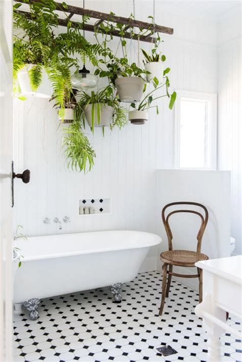 造型床頭櫃 浴室植物推薦